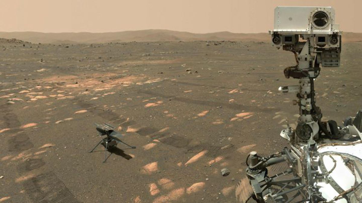 La búsqueda de vida en otro planeta tiene como finalidad comprender más sobre el origen del Sistema Solar y la Tierra. Y, por ende, cómo los humanos se formaron. En la foto, el rover Perseverance de la Nasa en Marte.