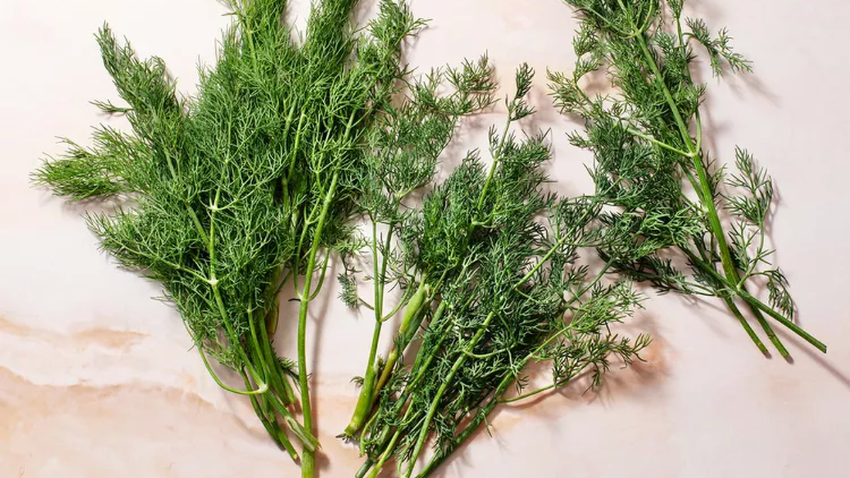 MasterChef qué es el dill o eneldo, la hierba fetiche de Damián