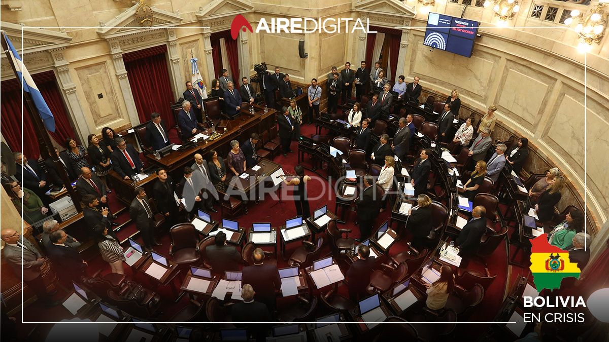 El Senado declaró su repudio al golpe de estado en Bolivia y hubo un gesto del oficialismo para evitar la caída de la sesión