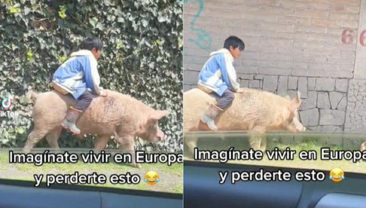 Video viral muestra como un nene viaja sobre un cerdo a toda velocidad.