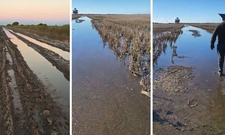 A un mes del temporal, los campos de Villa Minetti continúan bajo el agua. A un mes del temporal, los campos de Villa Minetti continúan bajo el agua.