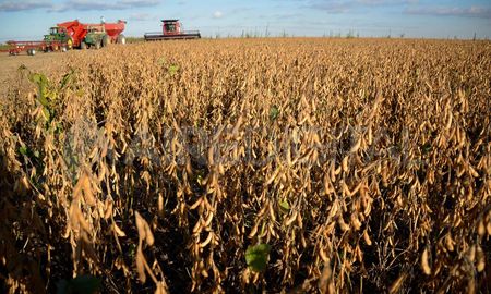 La medida causó preocupación en firmas agroexportadoras. La medida causó preocupación en firmas agroexportadoras.