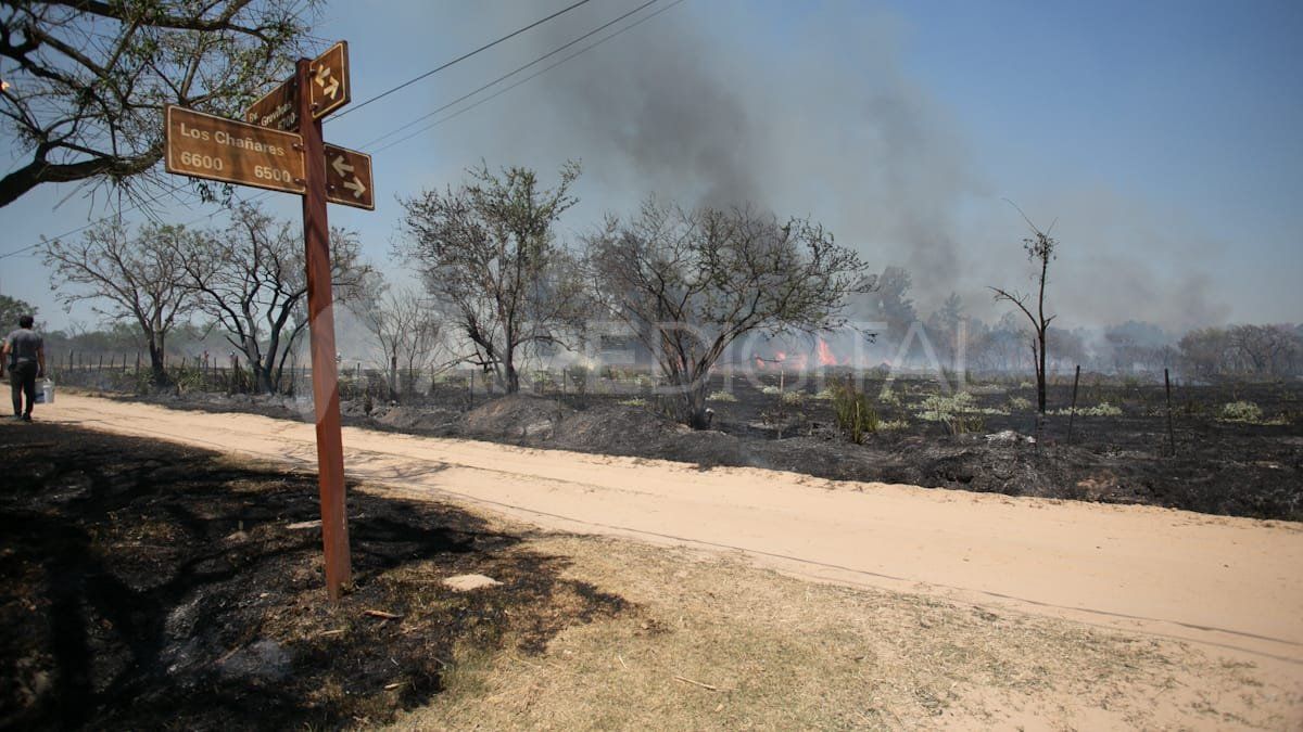 Largas extensiones de tierra quedaron negras tras el paso de las llamas.