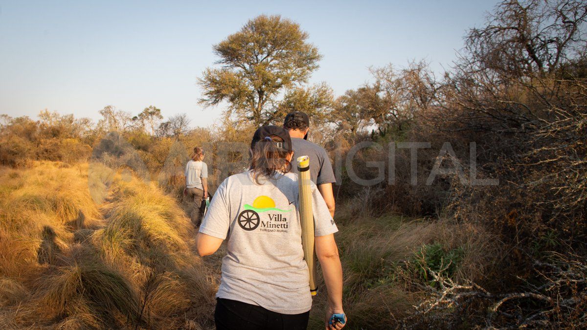 Durante el encuentro se realizarán salidas a territorio y baños de monte.