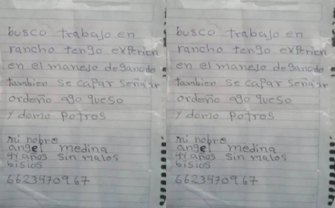 El CV que se hizo viral en las redes sociales.