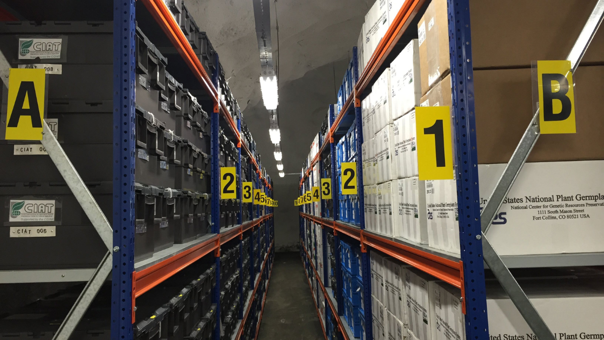 La Cámara del Juicio Final, construida para el día final. La Cámara del Juicio Final, construida para el día final.