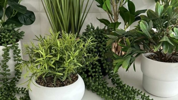 Aire de Santa Fe | plantas artificiales