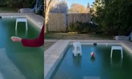 Video: se les congeló la pileta por el frío y se pusieron a jugar a la pelota sobre el hielo Video: se les congeló la pileta por el frío y se pusieron a jugar a la pelota sobre el hielo