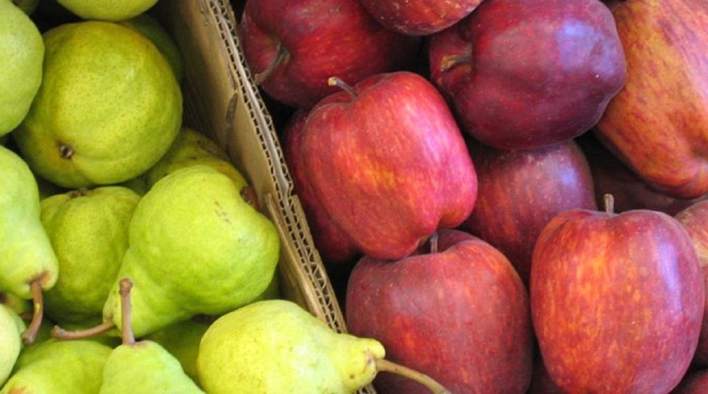 Hubo acuerdo y Brasil aceptó volver a importar manzanas y peras de la Argentina