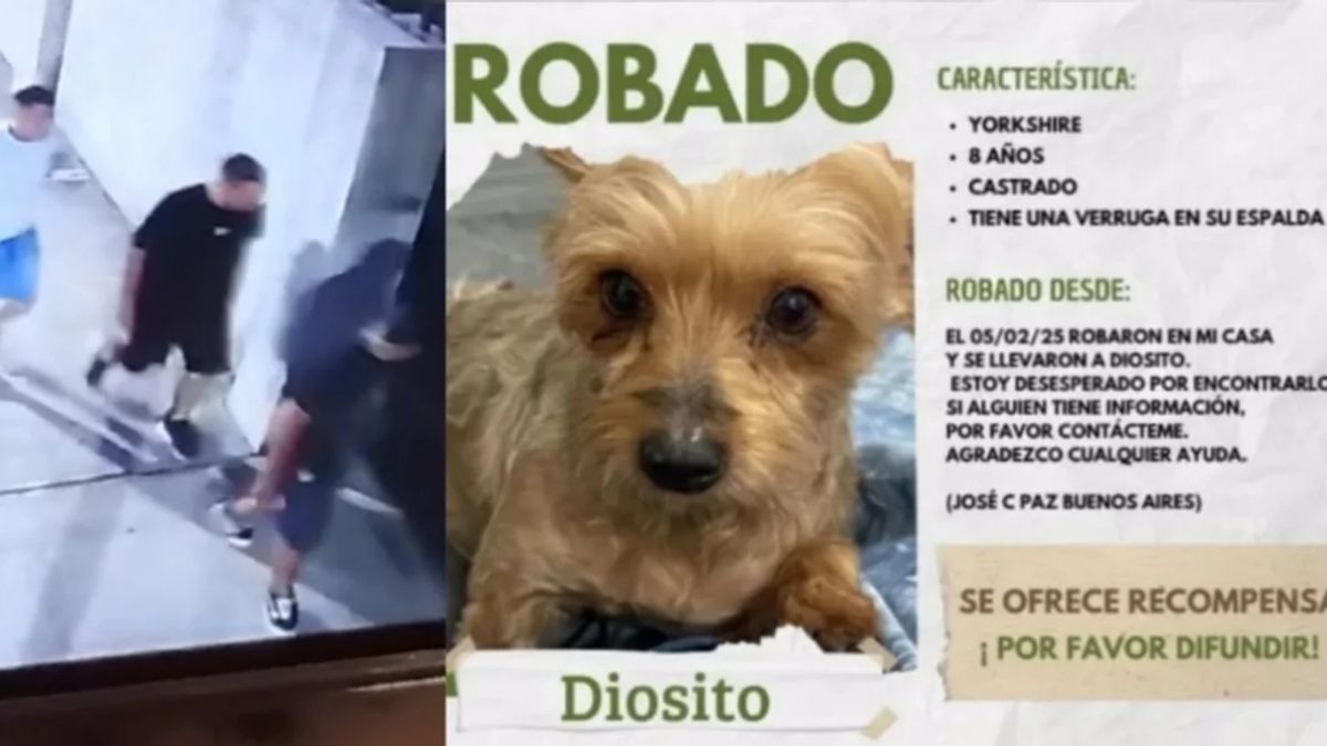 Asaltaron a una mujer en José C Paz y le robaron el perro