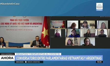 mujeres en pandemia: parlamentarias argentinas y vietnamitas debatieron sobre los derechos mujeres en pandemia: parlamentarias argentinas y vietnamitas debatieron sobre los derechos