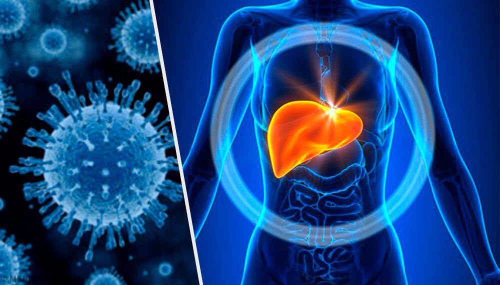 Hepatitis A.jpg