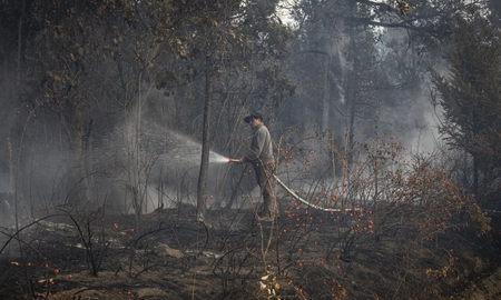 El Ministerio de Ambiente denunció al presunto autor del fuego en El Bolsón El Ministerio de Ambiente denunció al presunto autor del fuego en El Bolsón