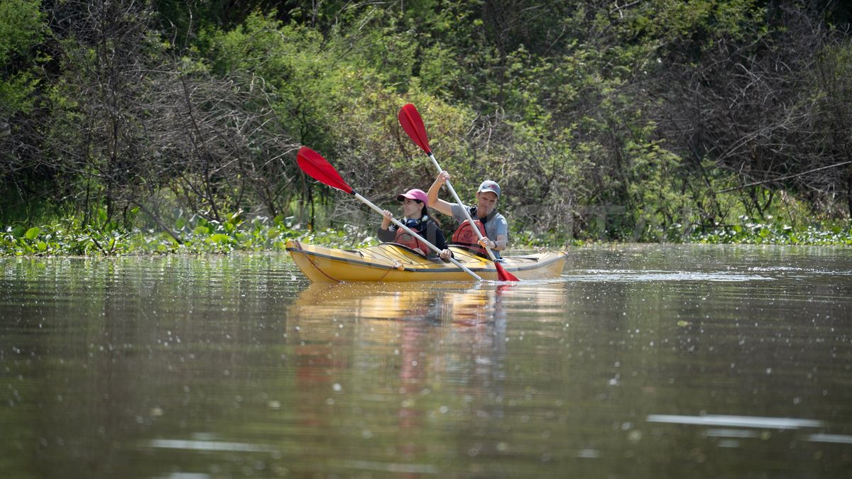 Virginia Defilippo conoce a fondo los arroyos y riachos que están cerca de Cayastá y Santa Rosa de Calchines. Virginia Defilippo conoce a fondo los arroyos y riachos que están cerca de Cayastá y Santa Rosa de Calchines.
