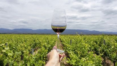 Día del Enólogo: la pasión argentina detrás de los vinos que conquistan al mundo