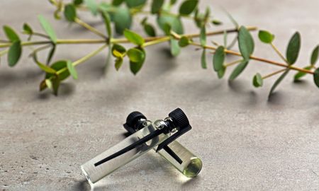Cinco plantas aromáticas para perfumar tu hogar y mantener lejos a las arañas. Cinco plantas aromáticas para perfumar tu hogar y mantener lejos a las arañas.