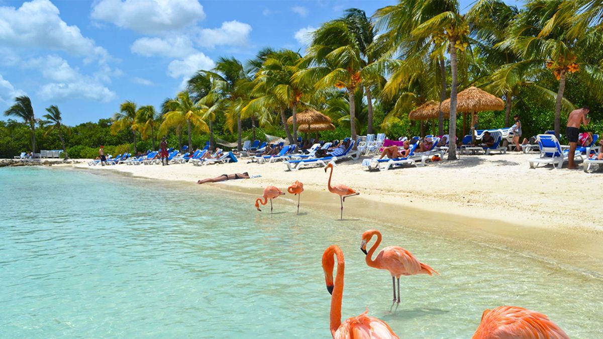 Viajar a Aruba desde Argentina se consolida como una de las opciones más buscadas del Caribe.