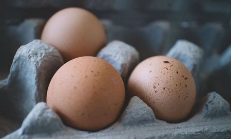 La variación térmica puede deteriorar más rápidamente el alimento e incluso favorecer la proliferación de bacterias como la salmonella. La variación térmica puede deteriorar más rápidamente el alimento e incluso favorecer la proliferación de bacterias como la salmonella.