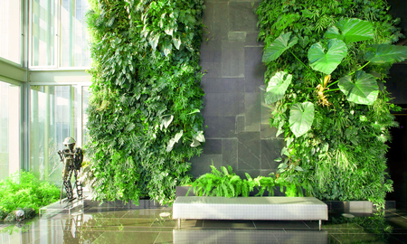 Jardines verticales: la idea de emprendedores santafesinos. Foto ilustrativa. Jardines verticales: la idea de emprendedores santafesinos. Foto ilustrativa.