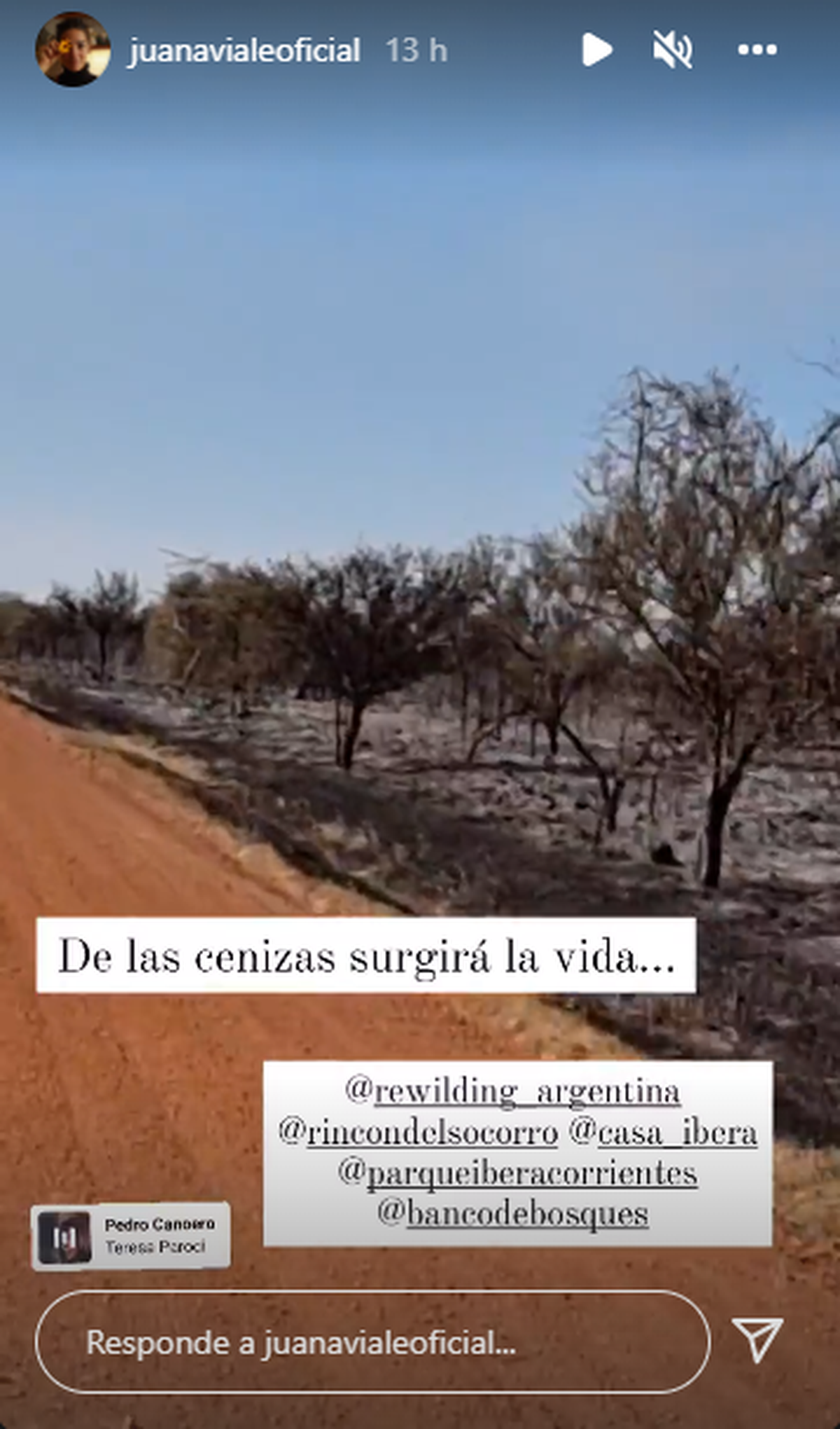 Juana Viale se mostró muy afectada por los incendios en Corrientes.
