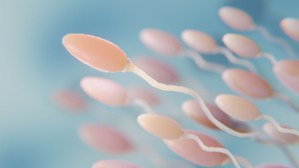 El número de embriones de alta calidad a partir de espermatozoides tratados aumentó un 63% en el ensayo comparado con la práctica clínica habitual, lo que permitiría reducir a la mitad el tiempo y coste de este tipo de tratamientos.