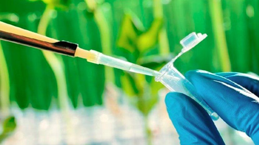 Casi el 20% de las inscriptas proponen soluciones biotecnológicas Casi el 20% de las inscriptas proponen soluciones biotecnológicas