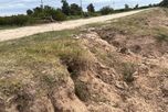 El terraplén de defensa de Colastiné Norte presenta sectores con tierra removida, pozos y pequeños desmoronamientos por el paso reiterado de animales. El terraplén de defensa de Colastiné Norte presenta sectores con tierra removida, pozos y pequeños desmoronamientos por el paso reiterado de animales.