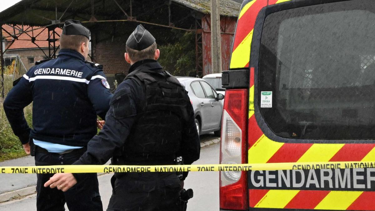 Horror en Francia: encuentran dos bebés muertos en un freezer y detienen a una mujer