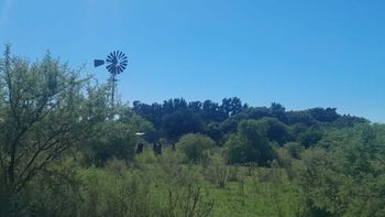 Conmoción en Vera: una mujer de 66 años murió tras ser embestida por un toro
