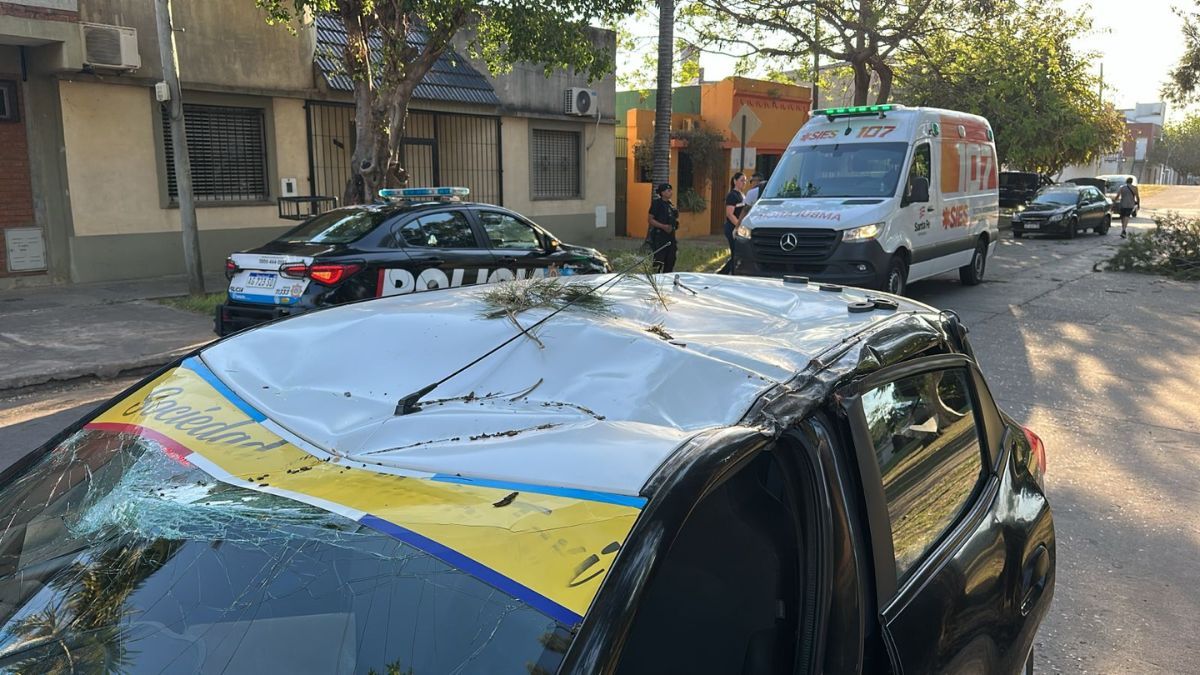 Así quedó el vehículo tras la caída de la rama mientras circulaba por Fomento 9 de Julio.