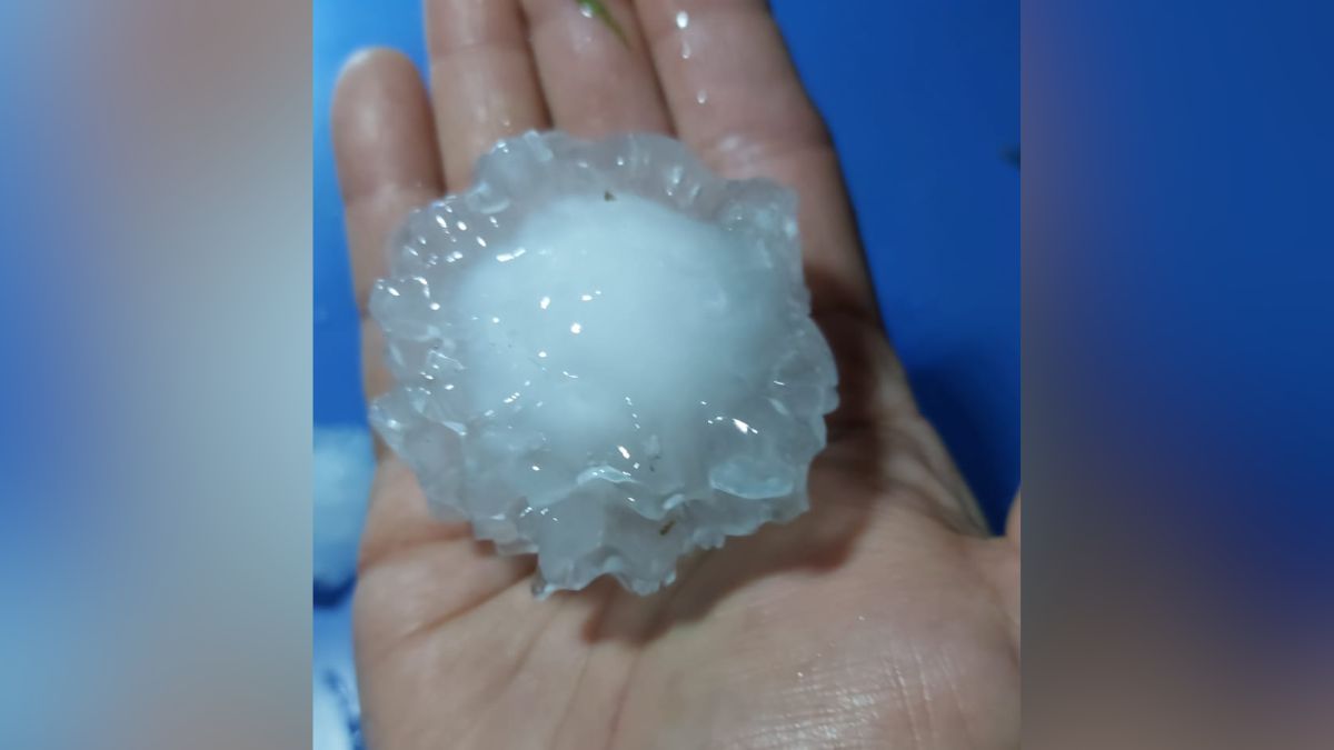 Granizo del tamaño de una piedra. Imagen compartida por vecinos de Franck. Granizo del tamaño de una piedra. Imagen compartida por vecinos de Franck.