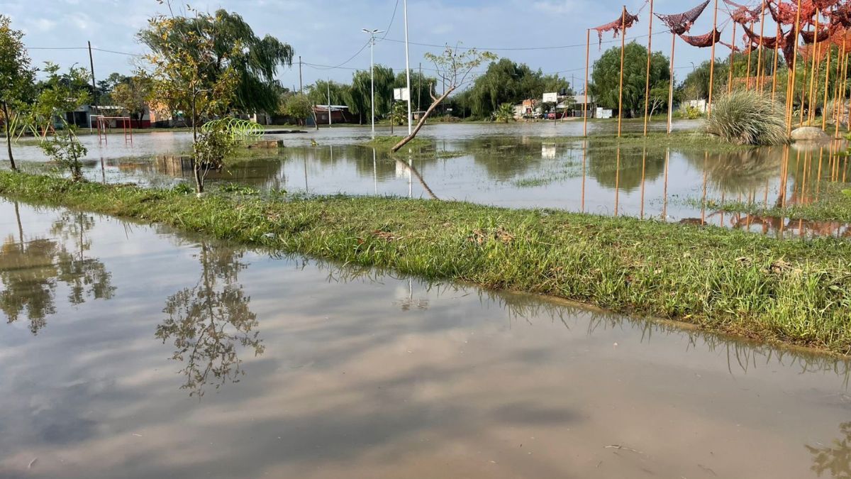 La falta de mantenimiento de las bocas de tormenta, obstruidas por basura y otros elementos, impide que el agua drene correctamente en las calles de barrio Pompeya. La falta de mantenimiento de las bocas de tormenta, obstruidas por basura y otros elementos, impide que el agua drene correctamente en las calles de barrio Pompeya.