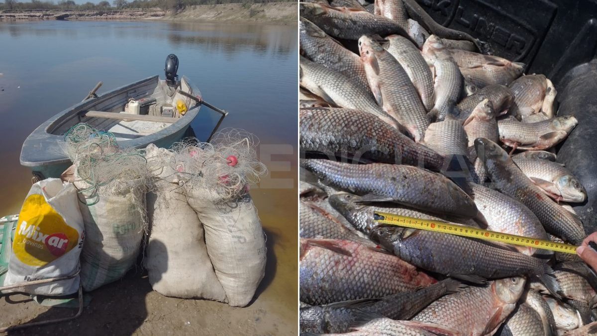 Incautaron más de 200 sábalos y siete mallas en Gobernador Candioti