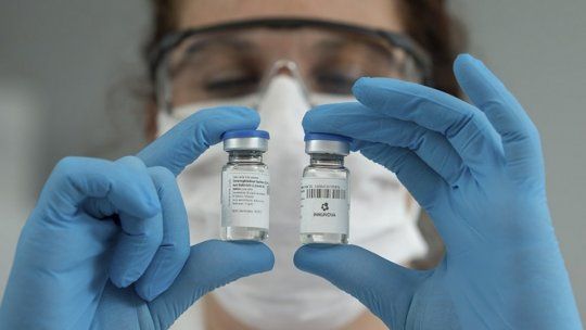 Comienza la distribución del suero equino hiperinmune desarrollado en Argentina