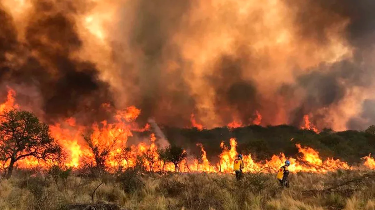 En Córdoba ya se quemaron alrededor de 43 mil hectáreas