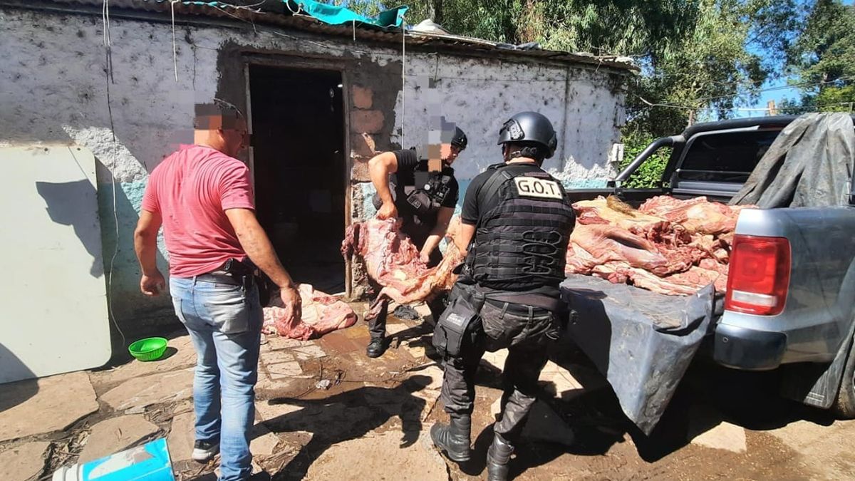 Cuando la Policía de Santa Fe llegó para allanar un búnker de drogas en la ciudad de Frontera, se encontró además con carne recién faenada. 