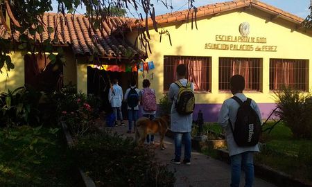 Con distanciamiento social y protocolos estrictos, los alumnos vovlerán a las aguas en un sistema bimodal. Con distanciamiento social y protocolos estrictos, los alumnos vovlerán a las aguas en un sistema bimodal.