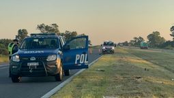 altText(Autopista Rosario - Santa Fe: fuerte choque entre un auto y un caballo)}