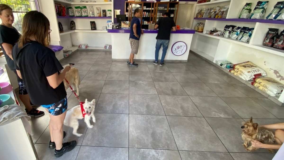 VTR da consejos para hacer las fiestas más llevaderas para las mascotas.