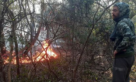 Por los incendios, se quemó parte de una reserva ecológica en Corrientes Por los incendios, se quemó parte de una reserva ecológica en Corrientes