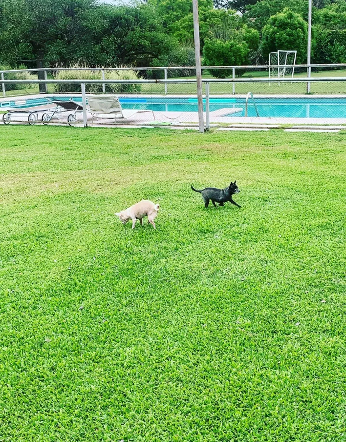 Así es la casa de Viviana Canosa.