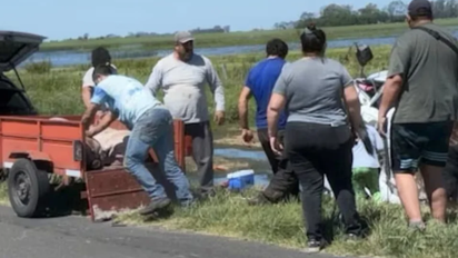 Caos en la Ruta 7: tras un vuelco, una multitud saqueó un camión cargado con cerdos