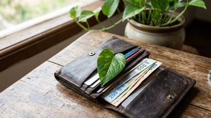 Guardar una hoja de potus en tu billetera: para qué sirve según el Feng Shui