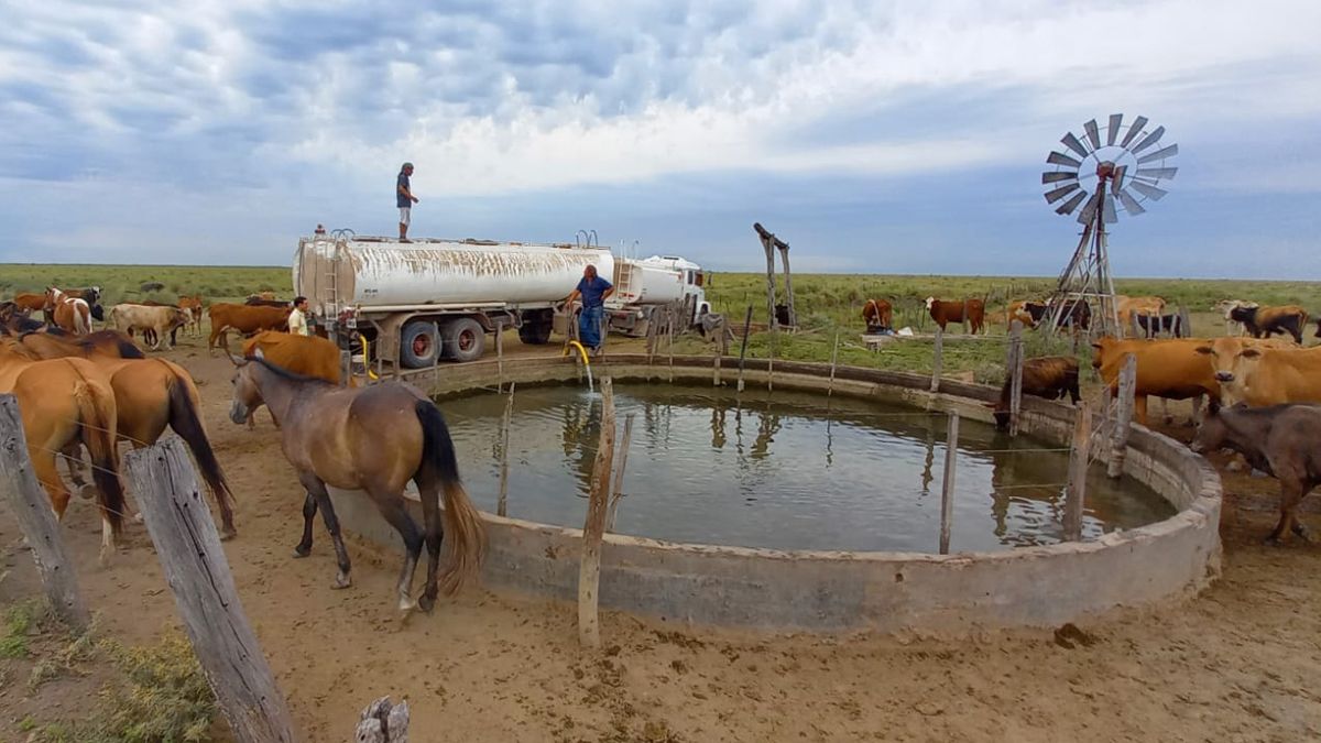 La medida se extiende hasta el 31 de marzo de 2024.