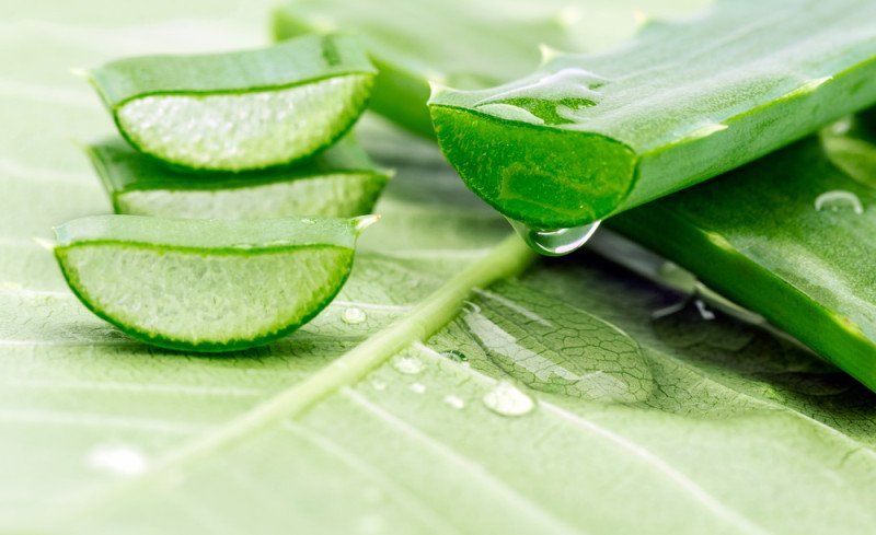 7 sorprendentes beneficios del aloe vera