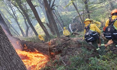 Más allá de los brigadistas, el desafío está en nosotros como comunidad, en tratar de que nos ocurran los incendios, señaló Marcelo Barca. Más allá de los brigadistas, el desafío está en nosotros como comunidad, en tratar de que nos ocurran los incendios, señaló Marcelo Barca.