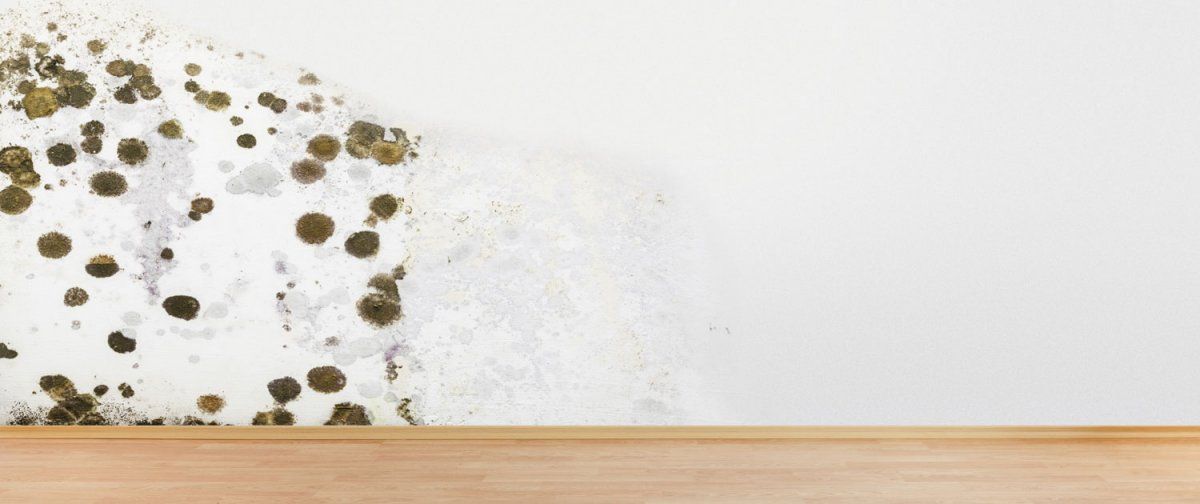 7 trucos para deshacerte de la humedad de la casa
