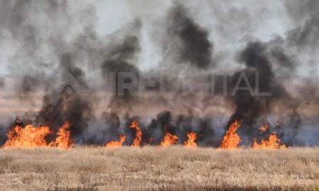 Aire de Santa Fe | incendios en el Delta del Parana Especial Aire de Santa Fe (2).jpeg