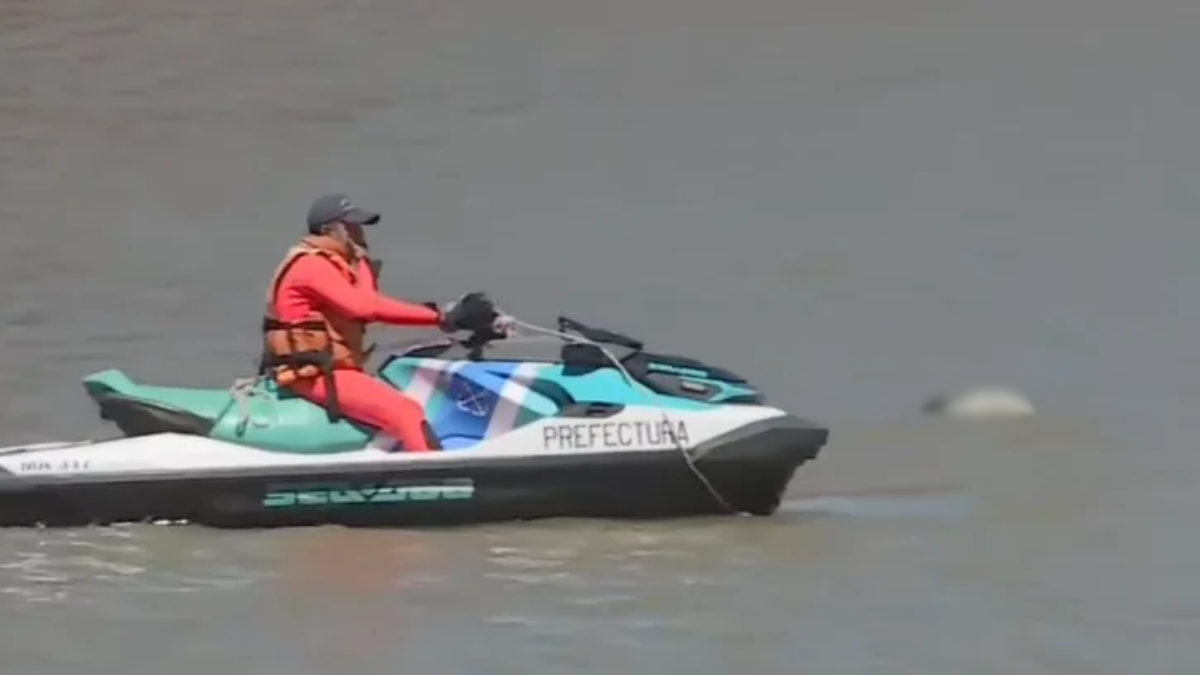 Puerto Madero: hallaron un cuerpo flotando en el río y la Justicia investiga las causas Puerto Madero: hallaron un cuerpo flotando en el río y la Justicia investiga las causas