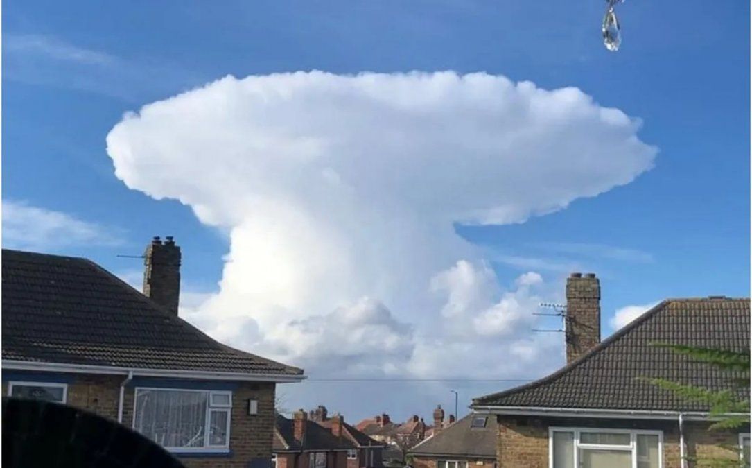 Los posteos se volvieron rápidamente virales en las redes sociales.&nbsp;